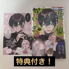 うちの黒魔導士がかわいすぎる！ 1巻 特典付き