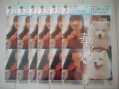 Item thumbnail for item 8ab20c01-87be-45c8-8151-ba44684c34a0