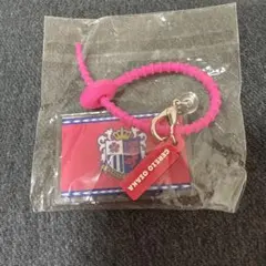 セレッソ大阪 アクリルキーホルダー ストラップ