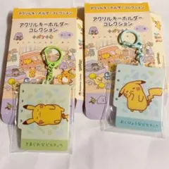 十ポケ十色 ピカチュウ アクリルキーホルダー・プチ缶コレクション