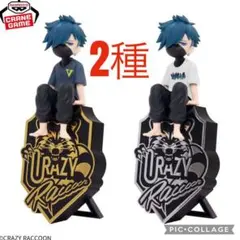 Crazy Raccoon デスクトップフィギュア-VanilLa- 2種セット