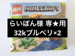 らいぽん 様 専★用 ブルベリ×2