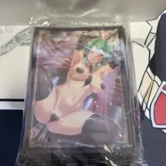 SAO シノン　逆バニー　スリーブ