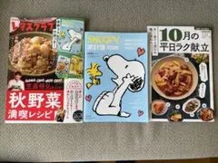 レタスクラブ 2025年10・11月合併号 スクーピー家計簿他ふろく付