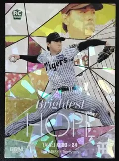 Item thumbnail for item c5d38431-408d-47ed-8cee-dfc6230fce59