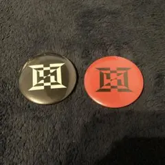 HOPE ON THE STAGE in JAPAN Hロゴ　缶バッジ　2個