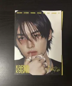 Stray Kids KARMA accordion ver. リノ 開封済