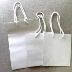 ホワイト 無地 紙袋セット（2サイズ）3枚