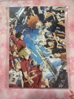 ポストカードセット 全14種 劇場版ハイキュー