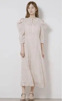 pomiii シャーリングシアー刺繍レースワンピース - メルカリ