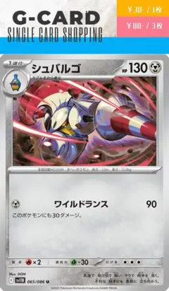 2025年最新】シュバルゴの人気アイテム - メルカリ