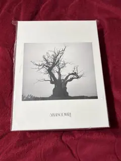 SEKAI NO OWARI ベストアルバム　完全生産限定プレミアムBOX Amazon.co.jp: SEKAI NO OWARI 2010-2019[完全生産限定プレミアムBOX