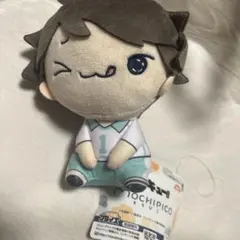【新品未開封】ハイキュー!! もちぴこ ぬいぐるみ　及川徹