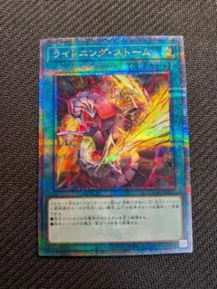 遊戯王 ライトニング・ストーム 絵違い 25th シークレットレア2枚
