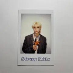 StrayKids スキズ フィリックス シーグリ 特典 チェキ トレカ