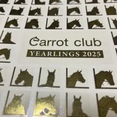 キャロットクラブ募集馬カタログ2025