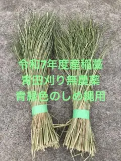 令和7年度産藁　青田刈り無農薬稲藁　しめ縄　リース　藁細工　稲藁