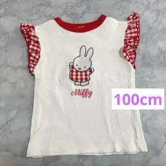 お袖ふりふりmiffyTシャツのサムネイル