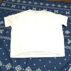 Item thumbnail for item 3ac042d2-79e3-4069-b6cf-138514c21aad