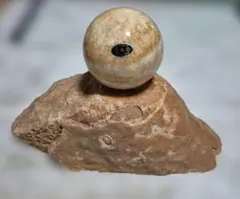 鍾乳石 瓢箪形原石 3点総重量約8kg - メルカリ