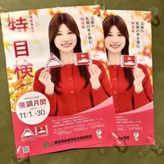 生見愛瑠さん 特自検 特大ポスター　 2枚 B2サイズ 非売品