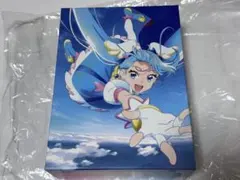 最終値下げ ひろがるスカイ！プリキュア 全巻購入特典 全巻収納BOX 最終巻！『ひろがるスカイ！プリキュア』Blu-ray vol.4、ひろがる空に