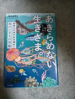 Item thumbnail for item 0fa0bc3d-0926-4a5e-932f-9b001bd66549