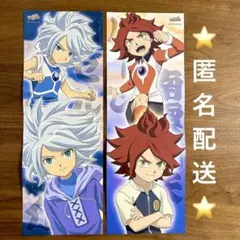 イナズマイレブン ビッグカード 南雲晴矢 涼野風介 ガゼル バーン 当時