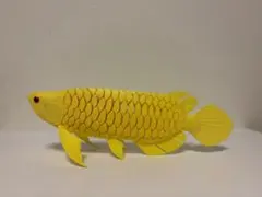 アジア アロワナ ゴールド 3Dモデル 25cm