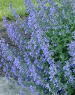 フルフル様 リクエスト 2点 まとめ商品