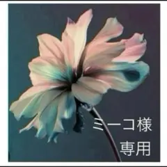 ☆*:.。.ミーコ.。.:*☆様　専用