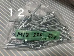 Item thumbnail for item d42dbd7f-255d-4334-9c32-233992143bf7