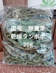 沖縄県やんばる産マジックリーフ 60g 20〜25枚入 UV殺菌灯照射済み②