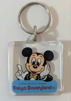 【レア】東京ディズニーランド　キーチェーン