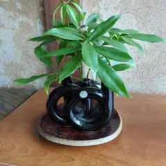 黒いガラス花瓶 中型 コースター付き