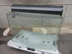 アクアワールド 楽園伝説2 マスダヤ 増田屋 電動熱帯魚 水槽 おまけ