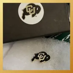 美品‼️希少‼️コロラドバッファローズ バッファローロゴ ピンバッジ