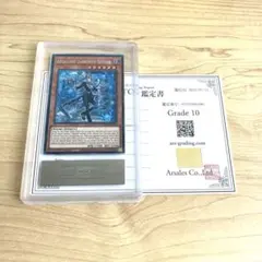 ARS9】遊戯王 ドラゴンメイドチェイム OTS28 レリーフ スペイン語