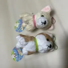 わんわんふれんず　マスコット　２体　コーギー　チワワ
