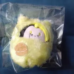 マッシュル　くるみたぴぬい　フィンエイムズ