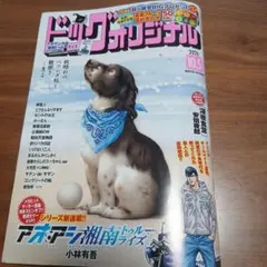 ビッグコミックオリジナル 2026年10月5日号