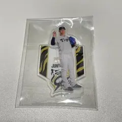 sarutoriibara24様 リクエスト 2点 まとめ商品