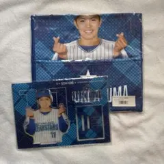 Item thumbnail for item 630c89cb-cdbe-4992-806e-746f203996dd