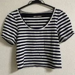 【９月処分】 ダズリンdazzlin Tシャツ ボーダー コンパクト