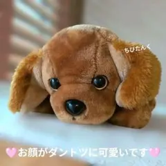犬のぬいぐるみ くったり 寝そべり 昭和レトロ ヴィンテージ - メルカリ