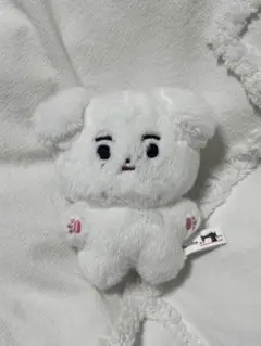 ENHYPEN ソンフン　マスター　ぬいぐるみ