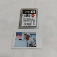 千葉ロッテマリーンズシークレットチェキ 菊地りく