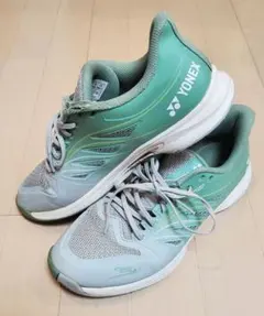 Item thumbnail for item 1c4e15f2-aada-4062-b629-67159be825cc