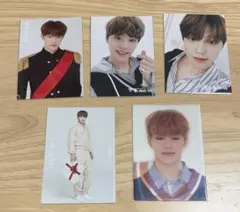 SEVENTEEN セブチ ディノ トレカ