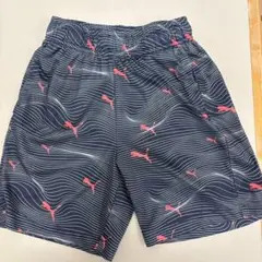 Item thumbnail for item a74048bd-d8c7-46c7-9e4d-d3b4b2250e4d